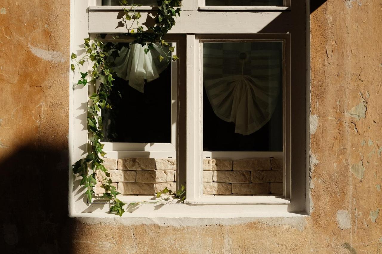 Cozee Studio - In Inima Brasovului Braşov Exterior foto